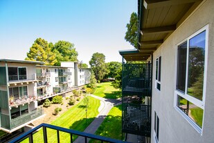 816 N Delaware St in San Mateo, CA - Building Photo