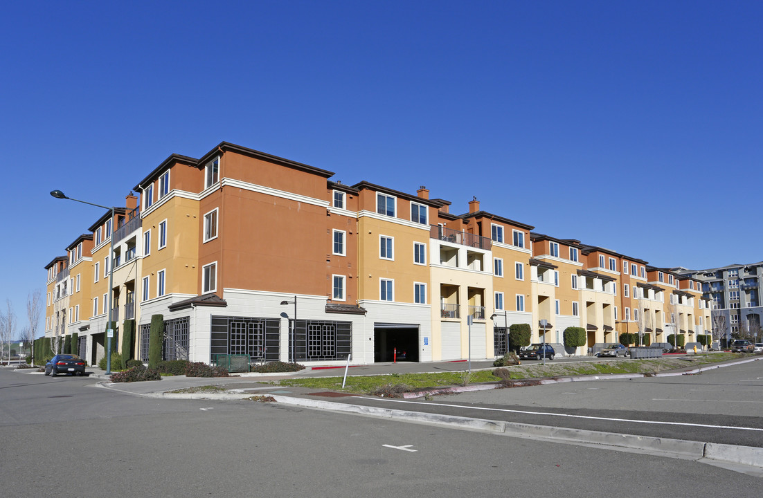 Camellia Place Apartments in Dublin, CA - Foto de edificio