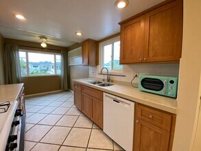 245 Delphinium St in Encinitas, CA - Building Photo - Building Photo