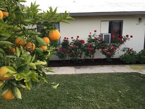 261 N Florence St in Burbank, CA - Foto de edificio - Building Photo