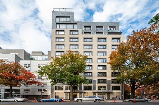 Patagonia in New York, NY - Foto de edificio - Primary Photo