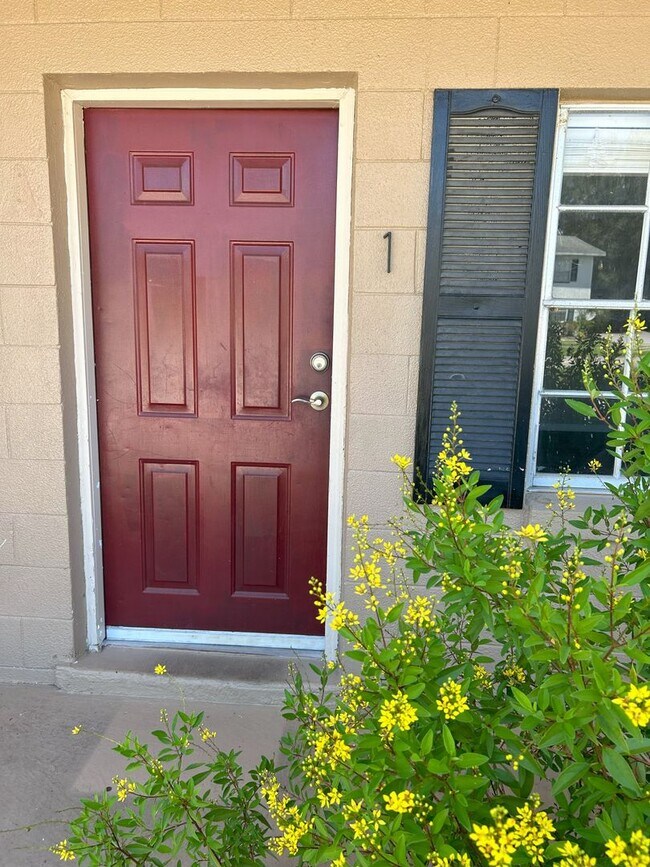 300 N Dewey St in Eustis, FL - Building Photo - Building Photo