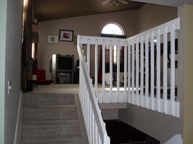 1536 Shane Cir in Colorado Springs, CO - Building Photo - Building Photo