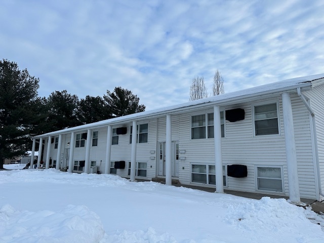 1007 W Dwelle St, Unit 1 in Lake City, MN - Building Photo - Building Photo