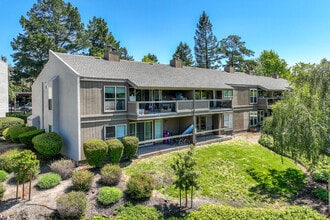 Moraga Terrace in Moraga, CA - Building Photo - Building Photo