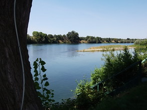 Driftwood & River Inn Parks in Los Molinos, CA - Building Photo - Other