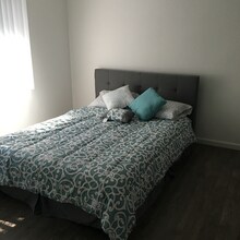 1258 Tiegen Dr in Hayward, CA - Foto de edificio - Building Photo