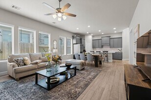 321 Rise Ln in Montgomery, TX - Building Photo