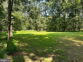 15679 Edgegrove Rd in Purcellville, VA - Building Photo