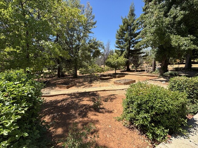 3594 Camino Hills Dr in Camino, CA - Building Photo - Building Photo