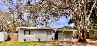 8115 Dominguin St in Orlando, FL - Building Photo