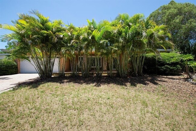 1984 Sandra Dr in Clearwater, FL - Building Photo - Building Photo
