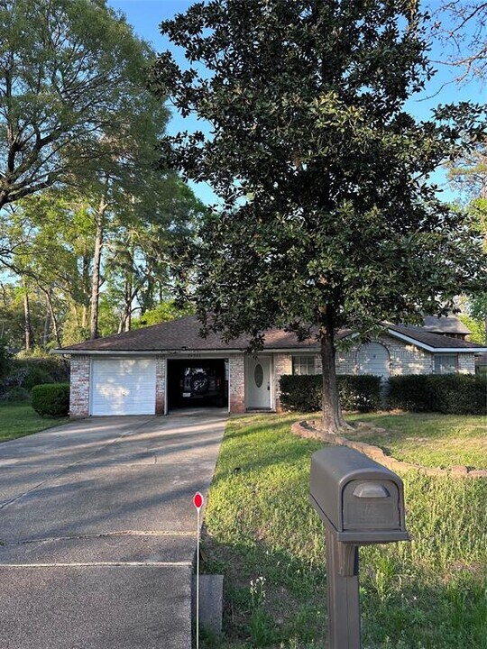 24522 Pine Canyon Dr in Spring, TX - Building Photo
