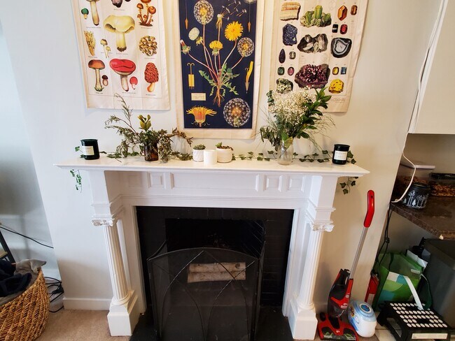 39 St Botolph St in Boston, MA - Building Photo - Building Photo