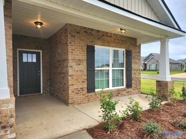 16348 Blue Water Wy NW in Harvest, AL - Building Photo - Building Photo