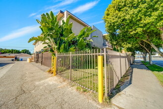 8241 Whitsett Ave in North Hollywood, CA - Building Photo - Building Photo