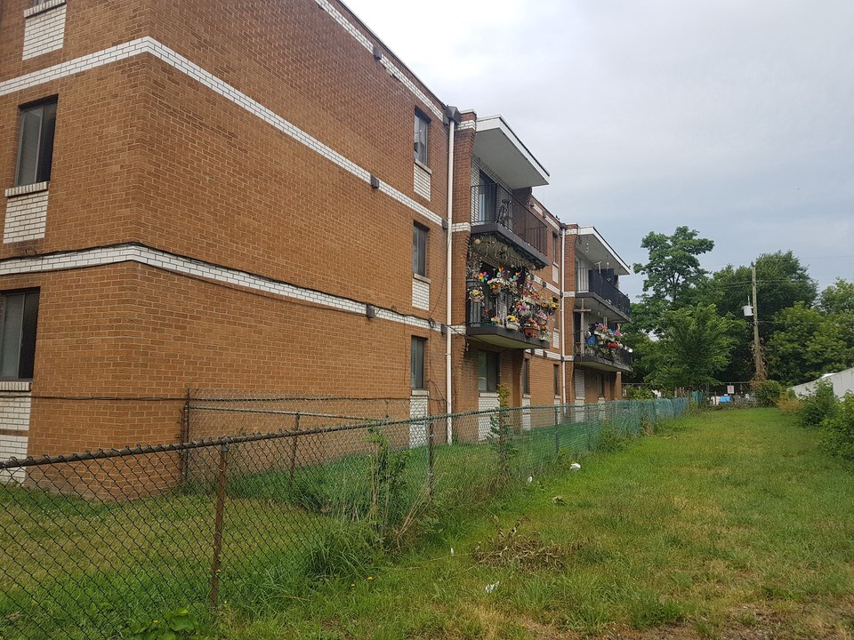 3462 Peter St in Windsor, ON - Foto de edificio