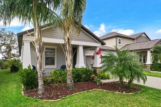 11420 Freshwater Ridge Dr in Riverview, FL - Foto de edificio - Building Photo