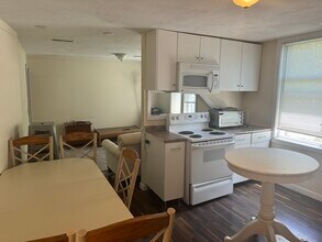 15 Wachusett St, Unit 3 in Worcester, MA - Building Photo - Building Photo