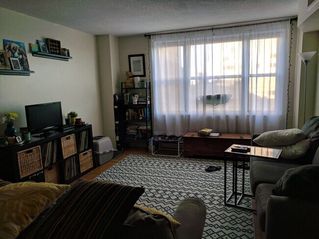 1101 St Paul St, Unit 411 in Baltimore, MD - Foto de edificio - Building Photo