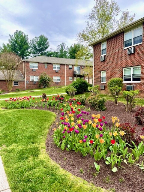 Pine Hill Apartments in Elkton, MD - Building Photo