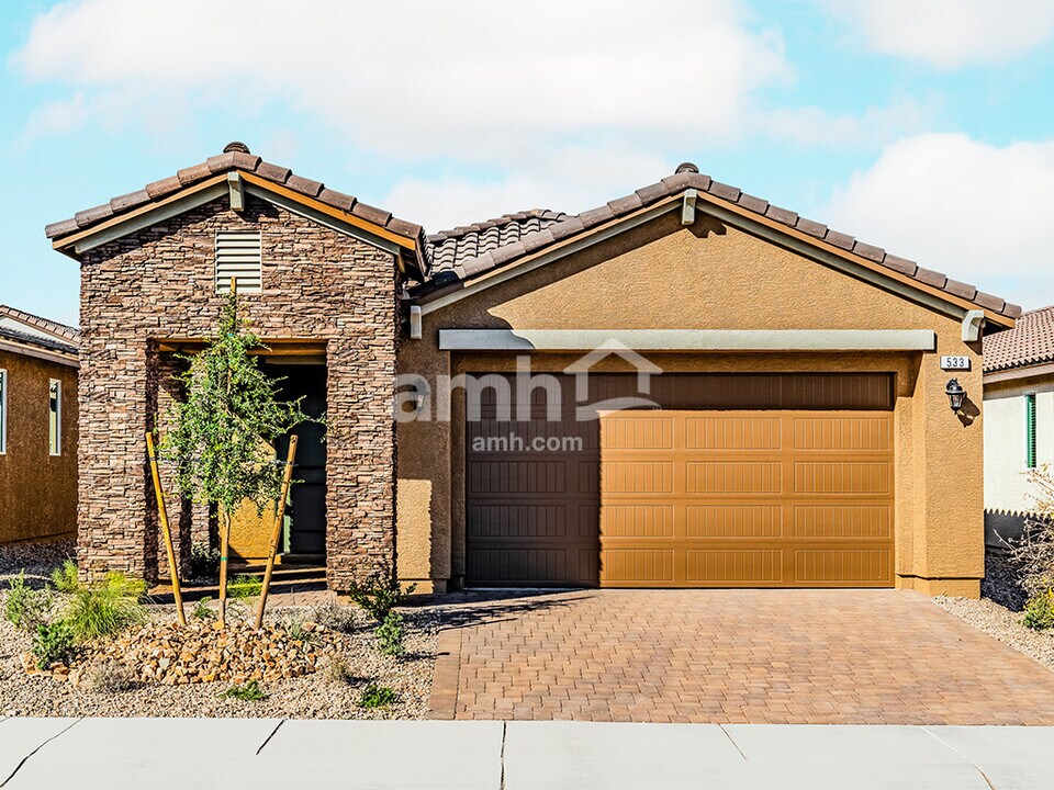 505 Speckled Orchid Pl in Henderson, NV - Building Photo