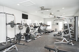 San Pedro Apartments in Mission, TX - Building Photo