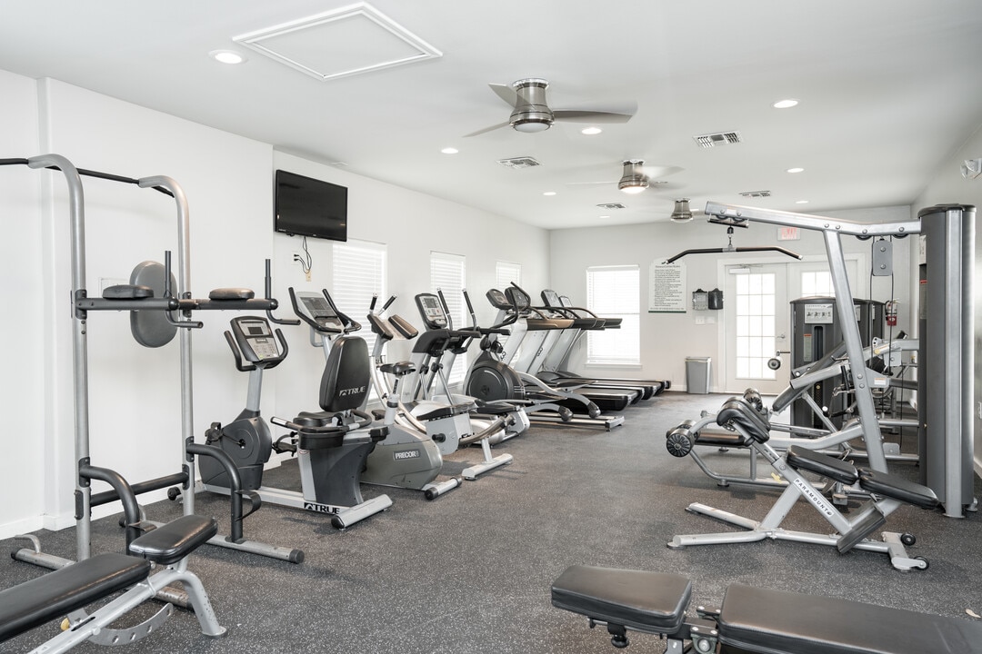 San Pedro Apartments in Mission, TX - Foto de edificio