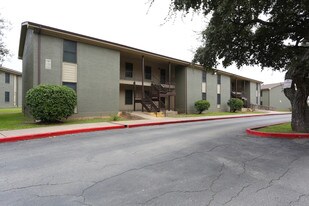Elm Ridge Apartments in Austin, TX - Building Photo