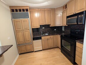 30 E Elm St in Chicago, IL - Building Photo - Building Photo