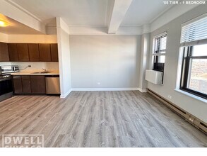 2124 N Lincoln Park W, Unit 2 in Chicago, IL - Building Photo - Building Photo