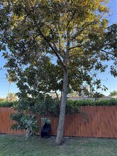 470 NE 127th St in North Miami, FL - Building Photo - Building Photo