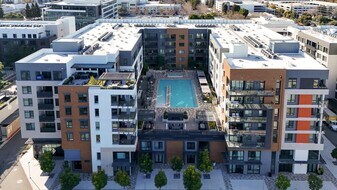 3578 Rambla Pl in Santa Clara, CA - Building Photo