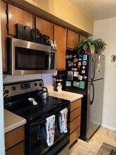 4633 Wild Indigo St in Houston, TX - Building Photo - Building Photo