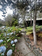 99-7733-7733 Uluhe Pl in Volcano, HI - Building Photo - Building Photo