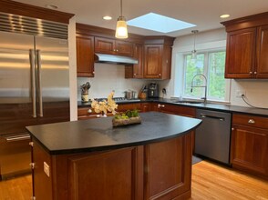 4 Paddock Ln in Lexington, MA - Building Photo - Building Photo