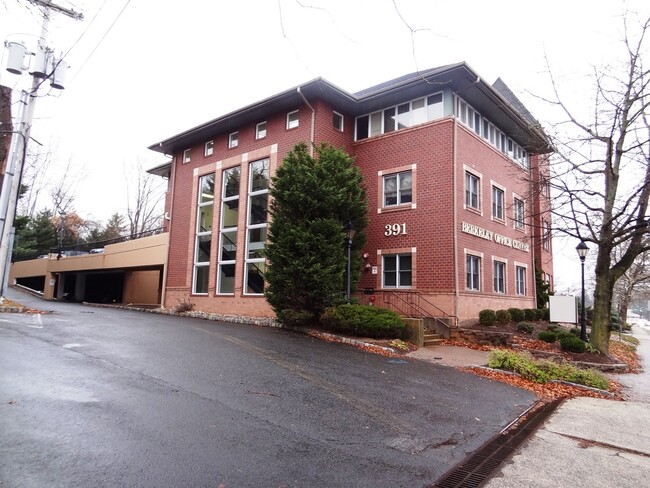 391 Springfield Ave in Berkeley Heights, NJ - Foto de edificio - Building Photo