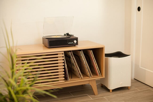 1314 S 8th Ave, Unit SI ID1515896P in Tucson, AZ - Building Photo - Building Photo