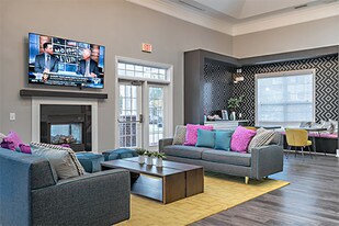 Cheap Greenville Apartments For Rent From 300 Greenville Nc