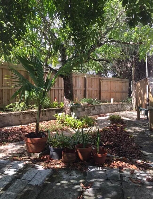 property at 2866 Plumosa Ln