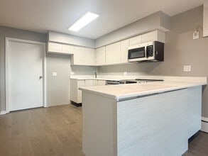 1509 N Wells St, Unit 2 in Chicago, IL - Building Photo - Building Photo