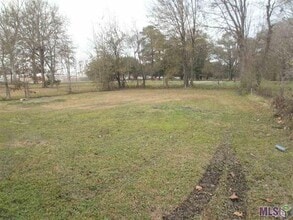 2315 Beech St in Baton Rouge, LA - Building Photo - Building Photo