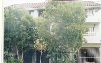 820 S St Andrews Pl in Los Angeles, CA - Building Photo - Building Photo