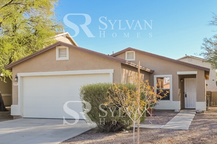 3787 E Desert Wash Ct in Tucson, AZ - Building Photo