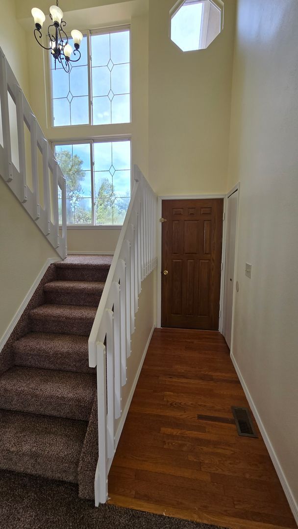 3855 Blazingwood Way in Colorado Springs, CO - Building Photo - Building Photo