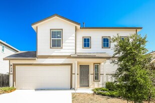 210 Moscovy Duck in San Antonio, TX - Building Photo