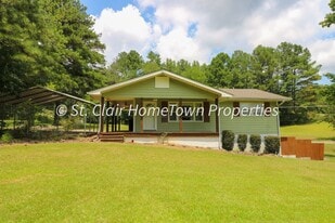 3591 Mountain View Rd in Odenville, AL - Building Photo
