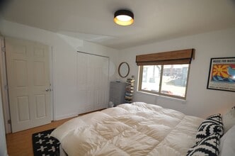 1143 Straight Creek Dr in Dillon, CO - Building Photo - Building Photo