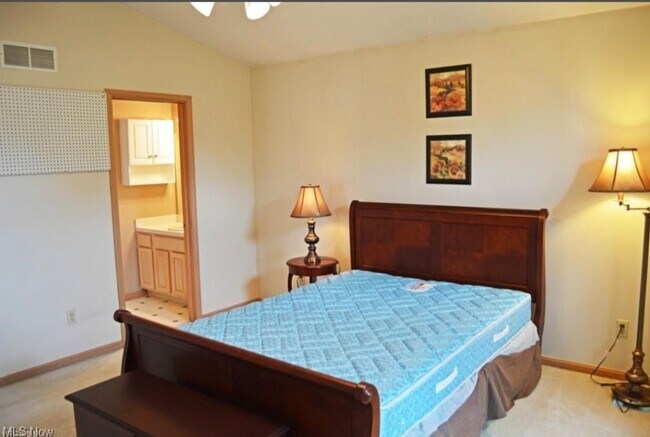 16548 Sunwood Oval in Strongsville, OH - Foto de edificio - Building Photo