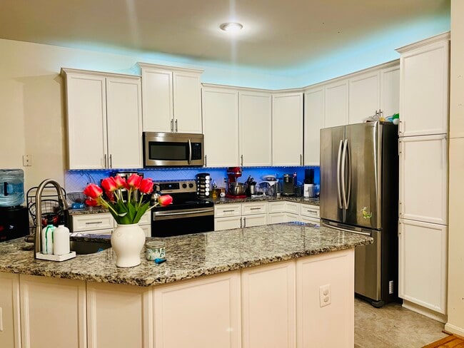 14789 Truitt Farm Dr in Centreville, VA - Foto de edificio - Building Photo